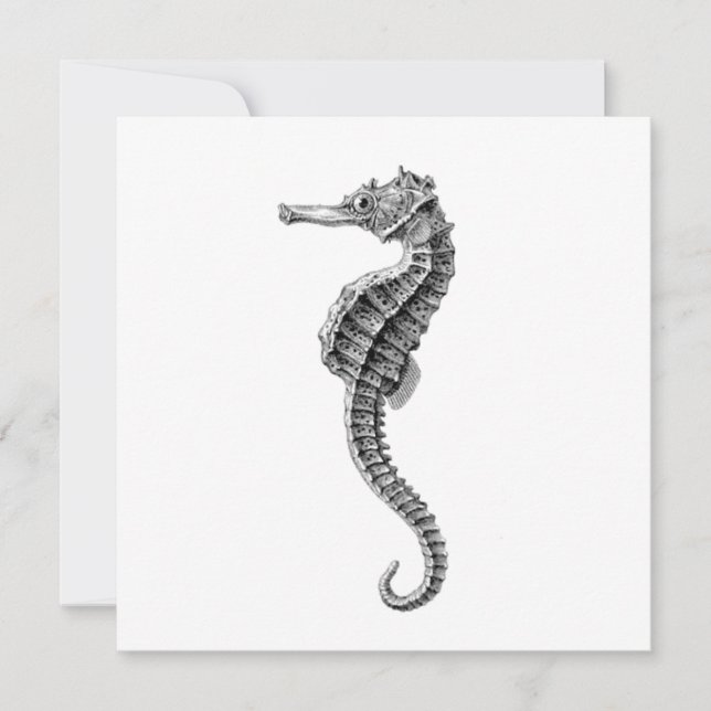 CARTE PLATE VIE MARINE SEAHORSE