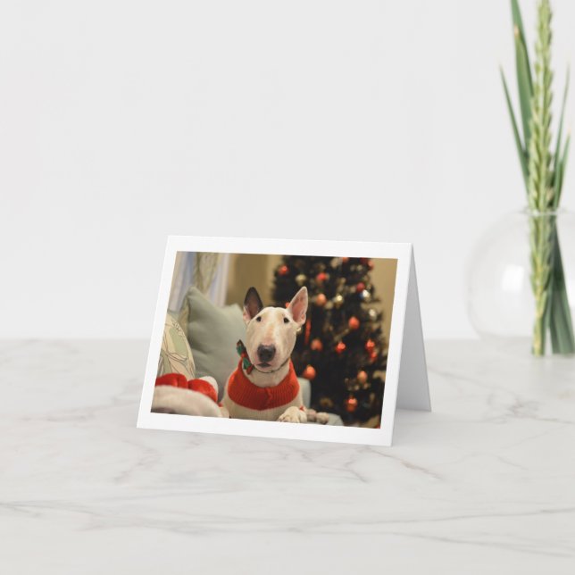 Carte pliable de Noël avec Bull Terrier noeud papi (Devant)