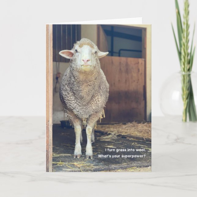 Carte pliée 5 pouces x 7 pouces || Marshmallow (Devant)