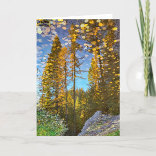 Carte pliée 5 pouces x 7 pouces    Mountain Puddle