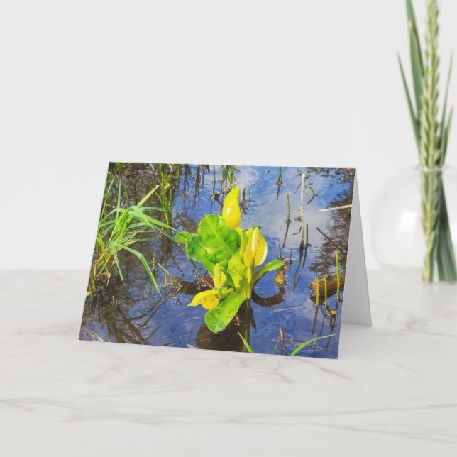 Carte pliée 7 po x 5 po|| Chou de la peau (Devant)