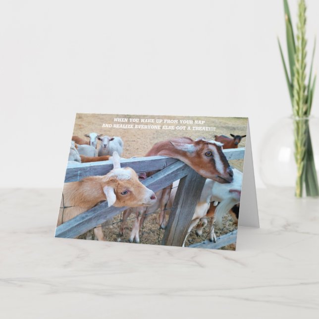 Carte pliée 7 pouces x 5 pouces || Hey-Hay ! Où es (Devant)