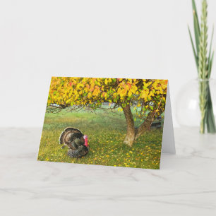 Carte pliée 7 pouces x 5 pouces    La Turquie sous