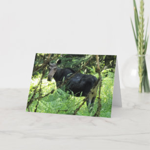 Carte pliée 7 pouces x 5 pouces Moose Lunch