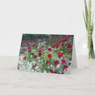 Carte pliée avec Pétunias alpines