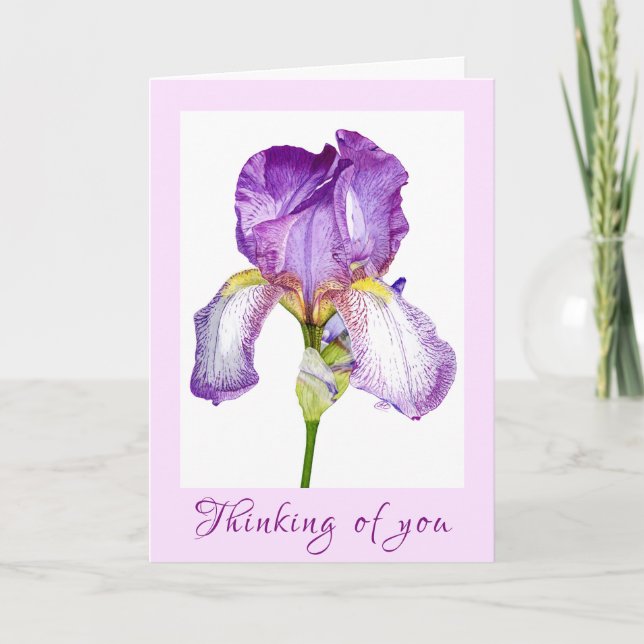 Carte Pliée couleur Aquarelle Iris violet (Devant)