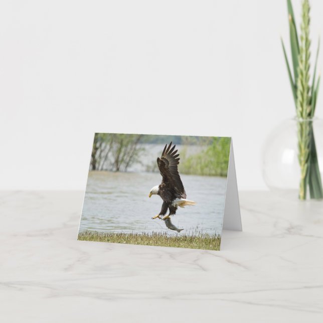 Carte pliée d'aigle à tête plate (Devant)