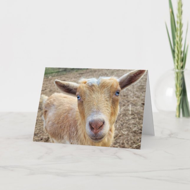 Carte pliée de 5 po x 7 po - h || Ginger (Devant)