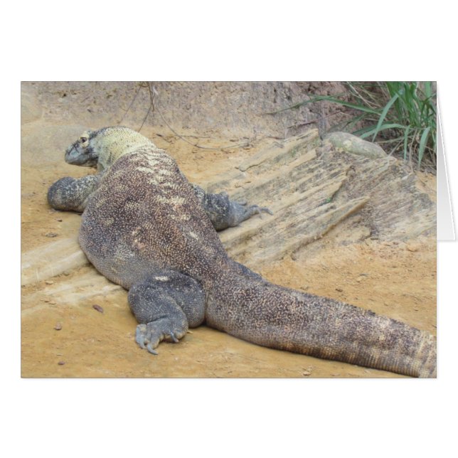 Carte pliée Komodo Dragon (Devant horizontal)