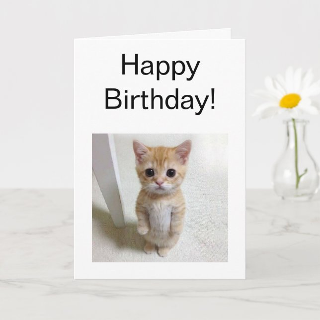Carte pliée Mème de chat El Gato (Petite plante)