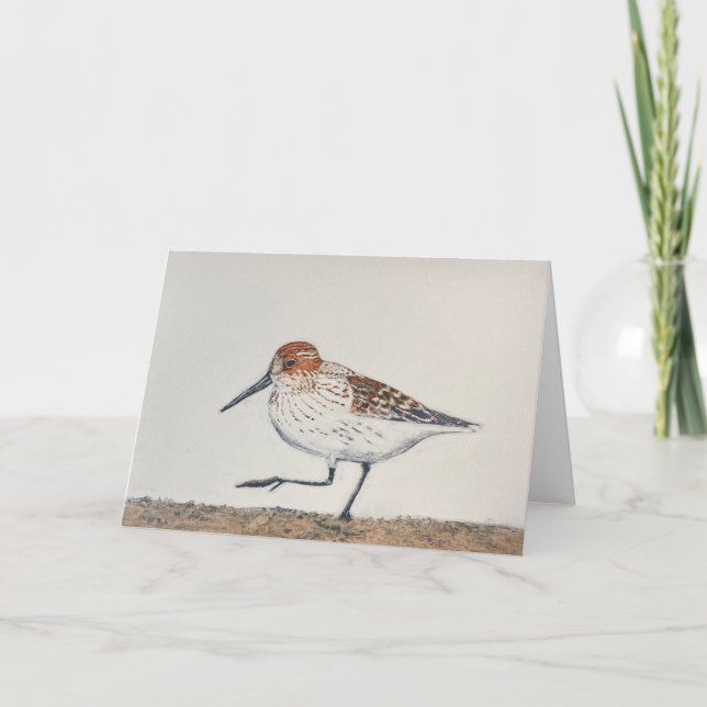 Carte pliée Sandpiper (Devant)