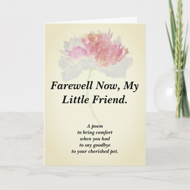 Carte Plier Poème Sympathie Animaux 12,7 X 17,8 cm (Devant)