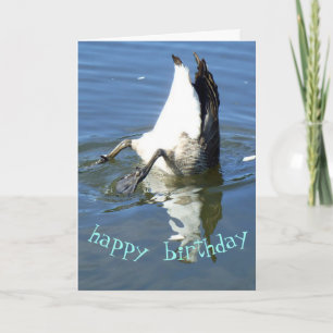Carte Plongeon oie Anniversaire