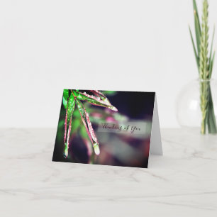 Carte Pluie gouttelettes sur la feuille Penser à votre c