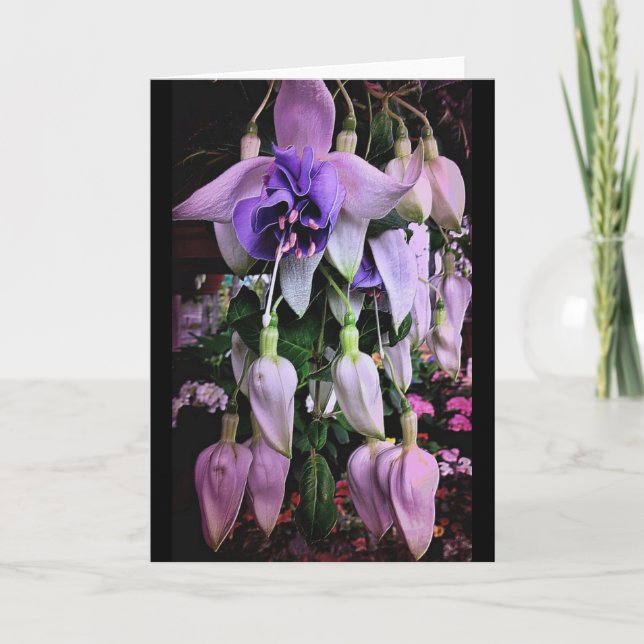 Carte Pluie violette (Devant)