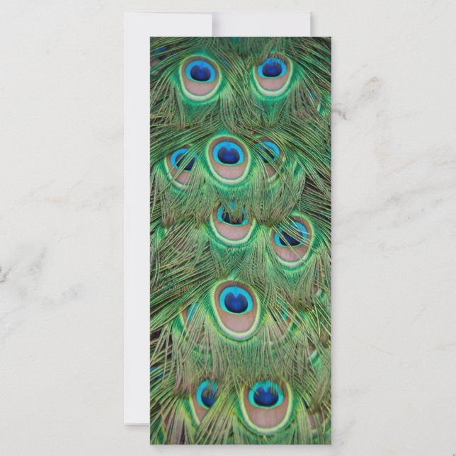 Carte Plumage de paon (Devant)