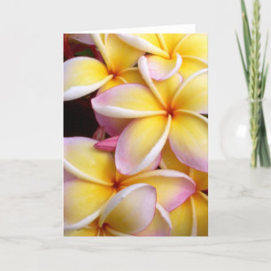Carte Plumeria