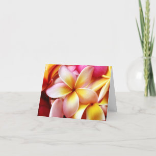 Carte Plumeria Frangipani Hawaii Fleur Customisée Blank