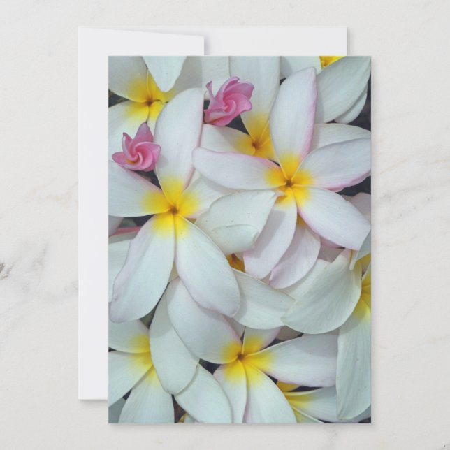 Carte Plumeria hawaïenne (Devant)