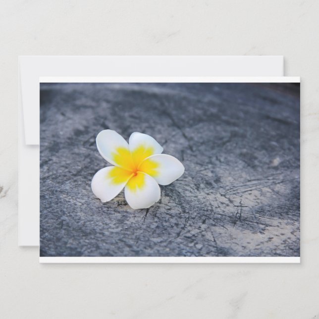 Carte Plumerias (Devant)