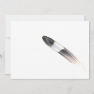 Carte Plumes