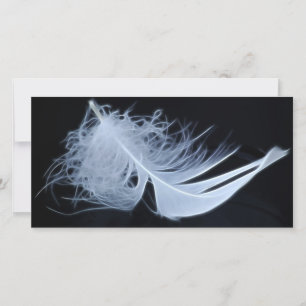 Carte Plumes blanches - angélique par nature