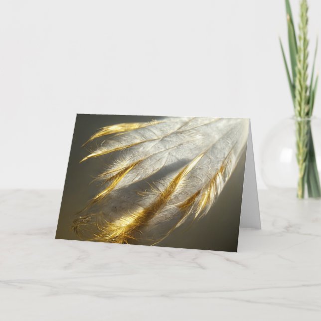 Carte Plumes blanches dorées (Devant)