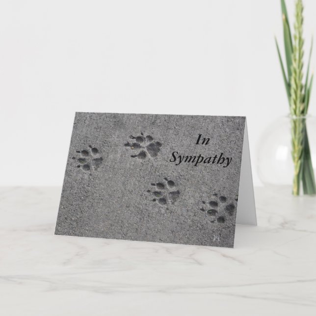 Carte Poches de animaux de compagnie en ciment - Toujour (Devant)