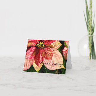Carte Poinsettia rouge et or
