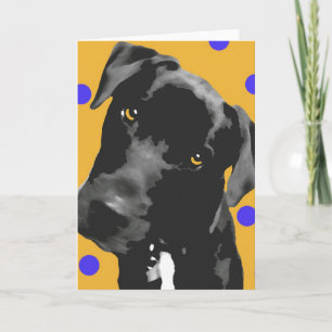 Carte Point Polka
