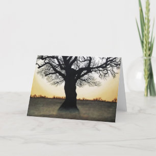 Carte Point tournant : Solstice d'hiver