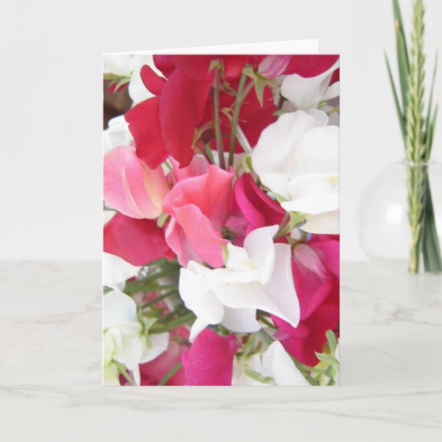 Carte Pois doux (Devant)