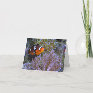 Carte Poisson clown Coral Mer Anémone sous l'eau mignonn
