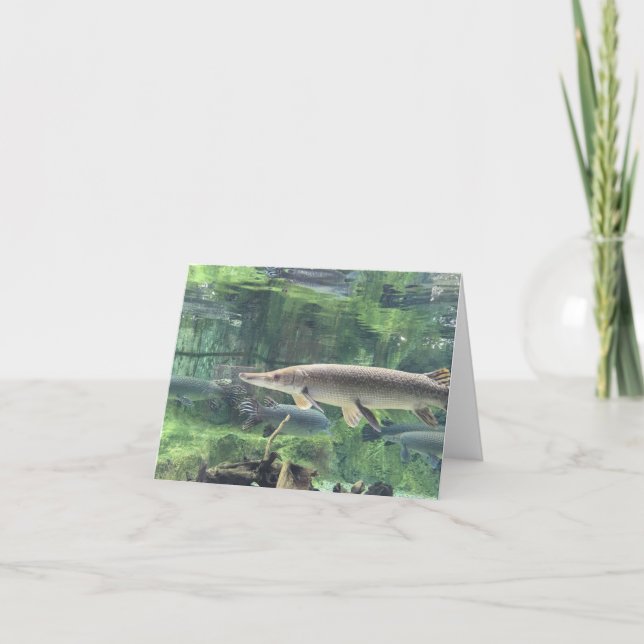 Carte Poissons de Pike (Devant)