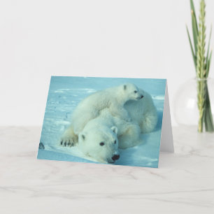 Carte Polar bear with cub