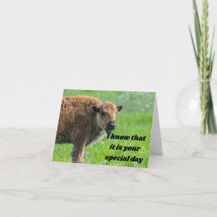 CARTE POLITE BÉBÉ BUFFALO DIT ***JOUR D'ANNIVERSAIRE***