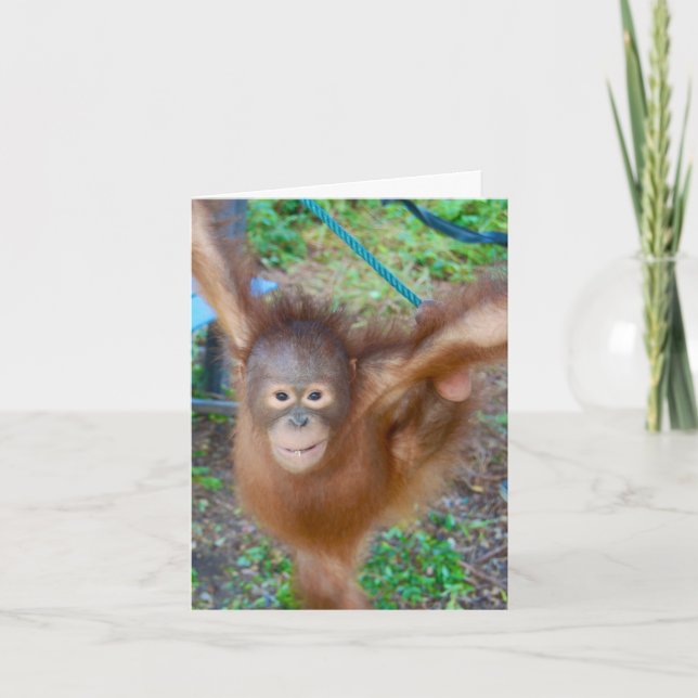 Carte Pom-pom girl : Équipe Orangutan (Devant)