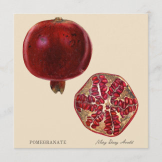 Carte Pomegranate by Mary Daisy Arnold