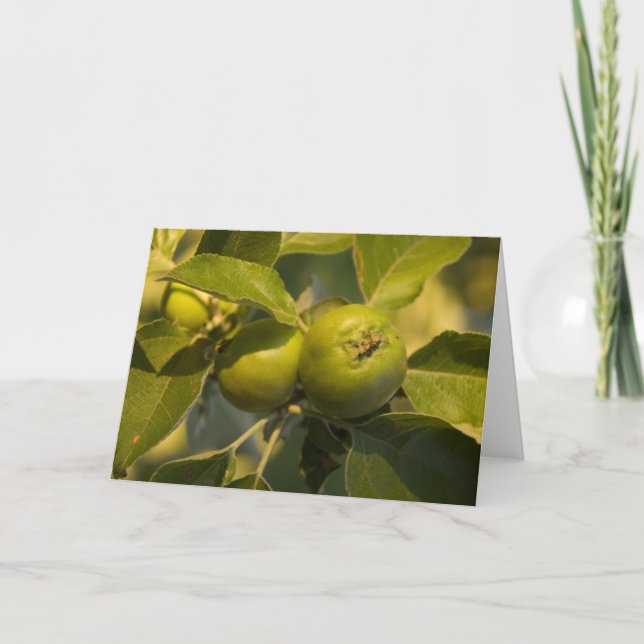 Carte pommes vertes (Devant)