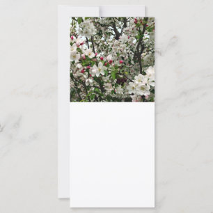 Carte Pommier en fleurs