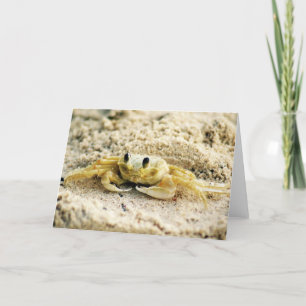 Carte Poncez le crabe, Curaçao, îles des Caraïbes,
