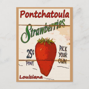 Carte Ponchatoula Strawberries
