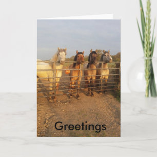Carte Poney Highland Salutations