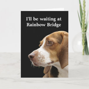 Carte Pont en arc-en-ciel - sympathie de chien