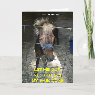 CARTE PONY AVEC CHEVEUX DELEMA=CARTE D'ANNIVERSAIRE