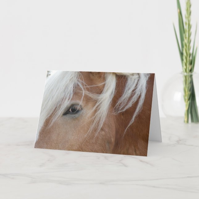 Carte Pony Greeting card (Devant)