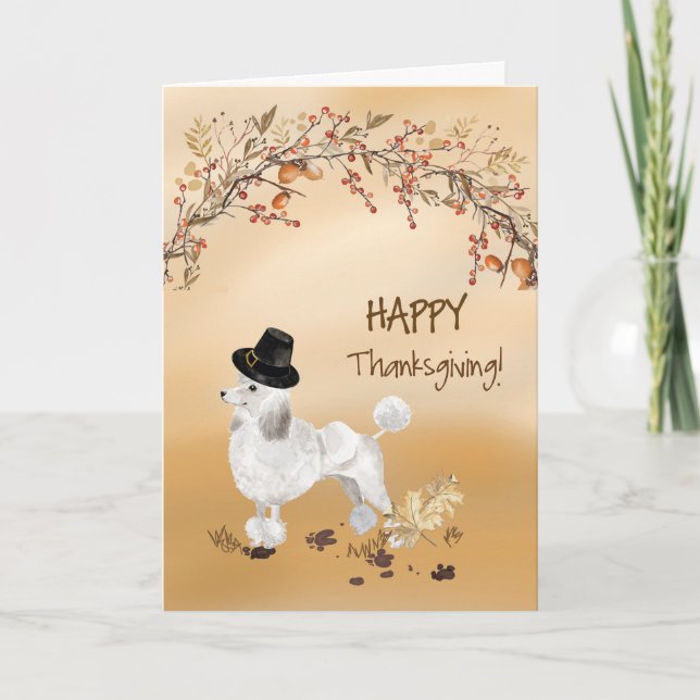 Carte Poodle blanc Drôle Pèlerin Casquette Thanksgiving (Devant)
