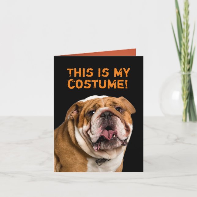 Carte Poodle blanc habillé comme un taureau Halloween (Devant)