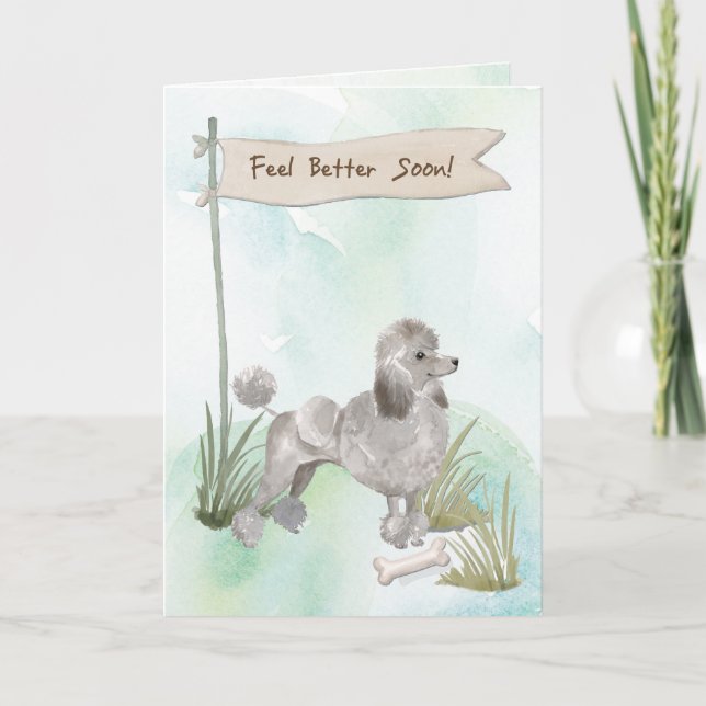 Carte Poodle gris se sentent mieux après la chirurgie av (Devant)