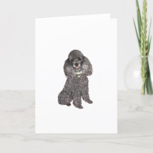 Carte Poodle - Jouet /Miniature Argent